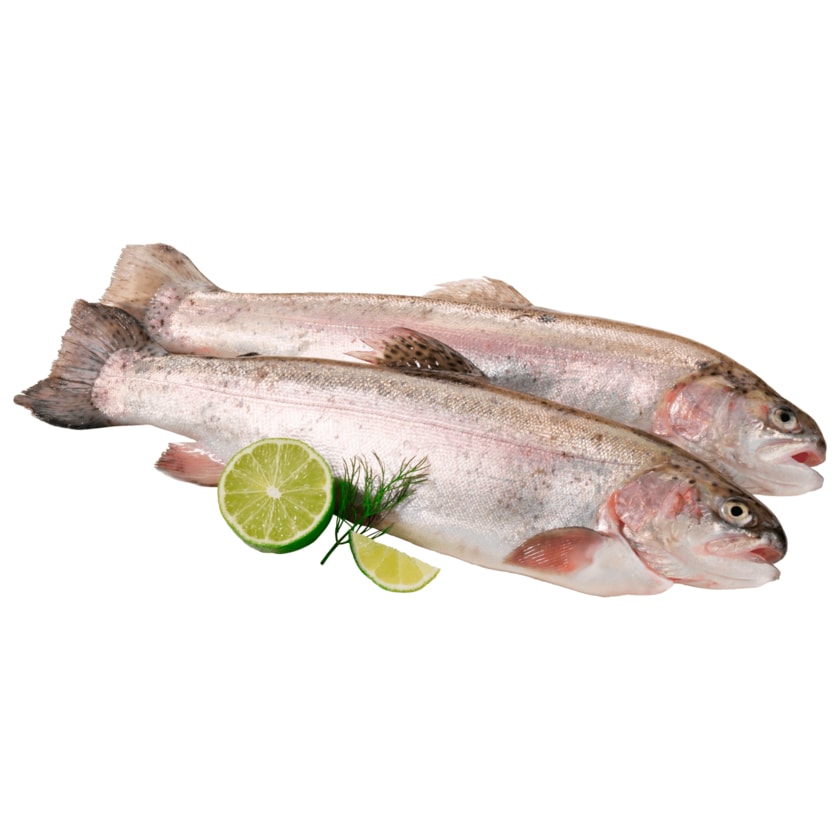 Stoever Lachsforelle Rotfischfilet 100g